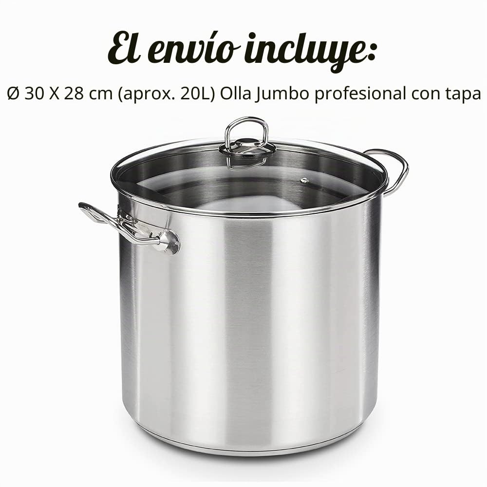 GSW 643474 - Olla grande profesional con tapa de cristal 30 x 28 cm / aprox. 20 litros, de acero inoxidable, plateada, 44 x 31,5 x 29,5 cm, 2 unidades