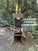 Spitfire Rocket Stove Patrol, Camp Rocket Stove Wood Burning Portable Stove w/Travel Case, Collapsible Backpacking Wood Stove, Rocket Camp Stove, Outdoor cooking stove Estufa De Leña Para Cocinar