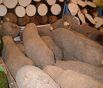 4 lb African yam Tuber, Nigerian yam