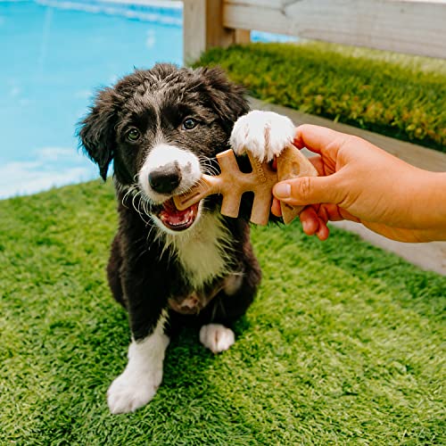 Benebone Puppy Tiny 2-Pack Indestructible Fishbone for Modest Chewers Teething Boredom Breaker for Puppies Real Jack Salmon Flavour - Image 2