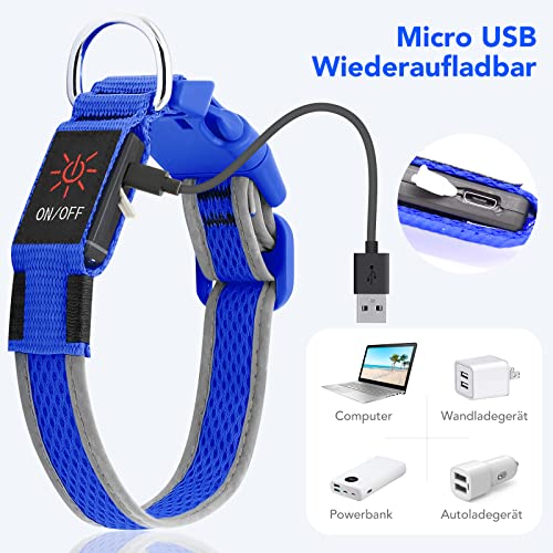 Leuchthalsband Hund(Halbleuchtend blau M), Colaseeme LED Hunde Leuchthalsband, Wasserdicht Hundehalsband Leuchtend, HundeleuchthalsbäNder Aufladbar für Pet Night Walking Safety, blau M