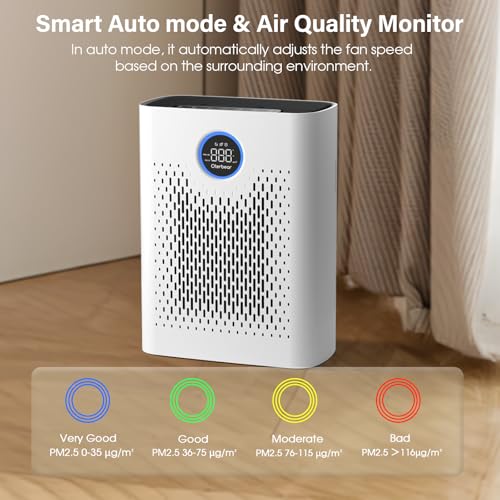 Oterbear 8000B HEPA Air Purifier