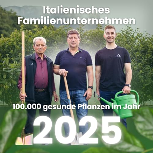LERAVA® Zitrusdünger für alle Zitruspflanzen [Bio] - (800g) - Biologischer Zitruspflanzendünger - Citrus dünger für Zitronenbaum, Orangen, Limetten, Olivenbaum, Kumquat und mediterrane Pflanzen