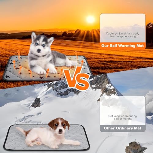 Namalu 4 Selbstwärmende Katzendecken Hundedecke mit Stern Muster Warme Weiche Decke für Haustier Waschbares Hundebett rutschfeste Decke für Outdoor Indoor (Rechteck, 45 x 60 cm)
