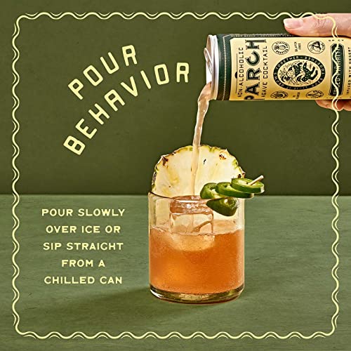 Image of PARCH Spiced Pinarita Ready to Drink Non Alcoholic Agave Cocktail Infused with Desert Botanicals & Adaptogens, Plant Based, Gluten Free & Vegan, Inspired by the Sonoran Desert (8.4 oz x 8 Pack)