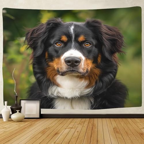 Couverture murale 3D Springer Spaniel en polyester doux