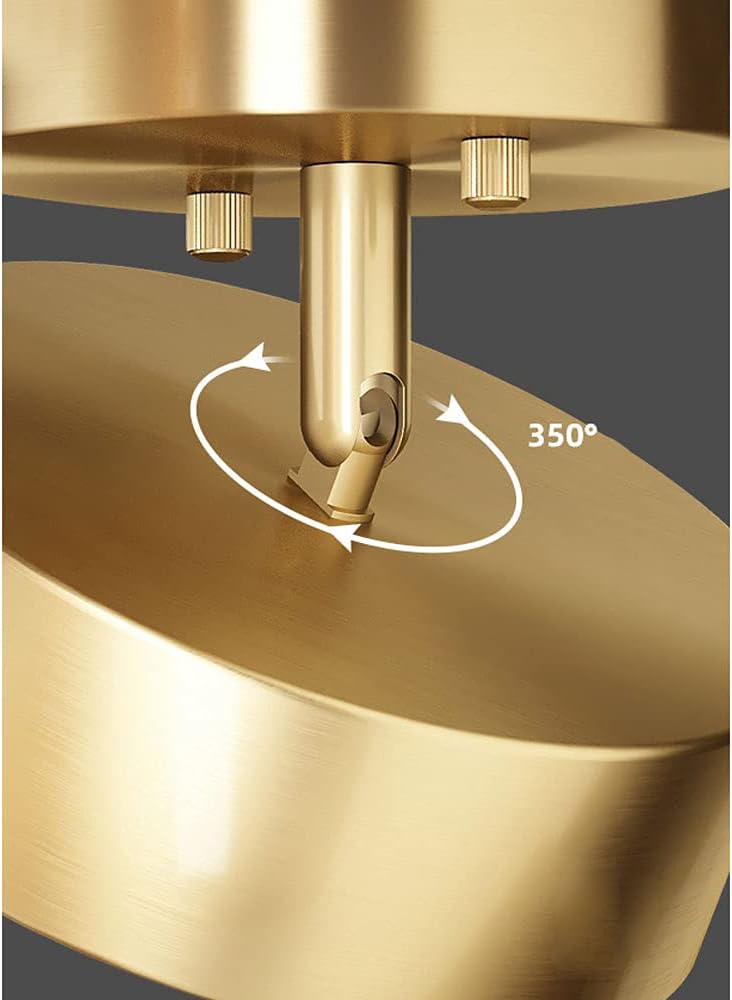Modern Surface Mounted LED Ceiling Light Creativity Rotatable Brass Ceiling Light Close to Ceiling Light Fixture for Entrance Door Balcony Corridor Aisle Stairs