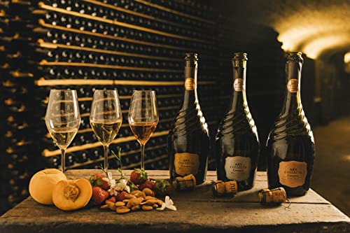 Codorníu Ars Collecta Blanc de Blancs - Cava reservieren - 75cl