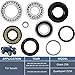 Bonbo Rear Differential Bearing and Seal Kit for Suzuki Ozark 250 LTF250 2X4 2WD 2002-2014
