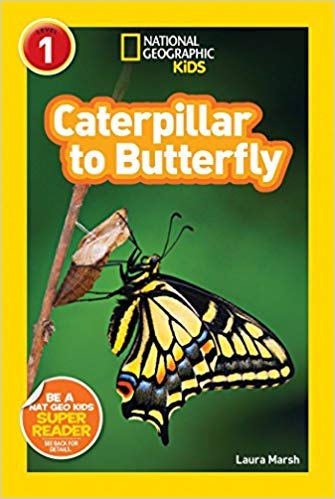 [By Laura Marsh] National Geographic Readers: Caterpillar to Butterfly-[Paperback] Best Selling book for |Children's Zoology Books (Books)|