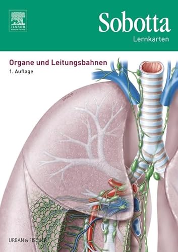 Elsevier - Sobotta Lernkarten Organe und Leitungsbahnen: Organe und Leitungsbahnen