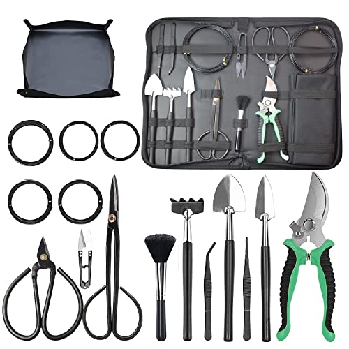 Top 10 Best Bonsai Kit in US 2023 [ Buying Guide & Comparison Table ]