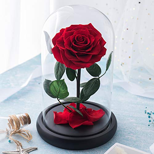 Puto Preserved Rose Eternal Rose In Glass Dome Gift For Her Thanksgiving Christmas Valentine's Day Birthday Mother's Day (Red) #TOP2