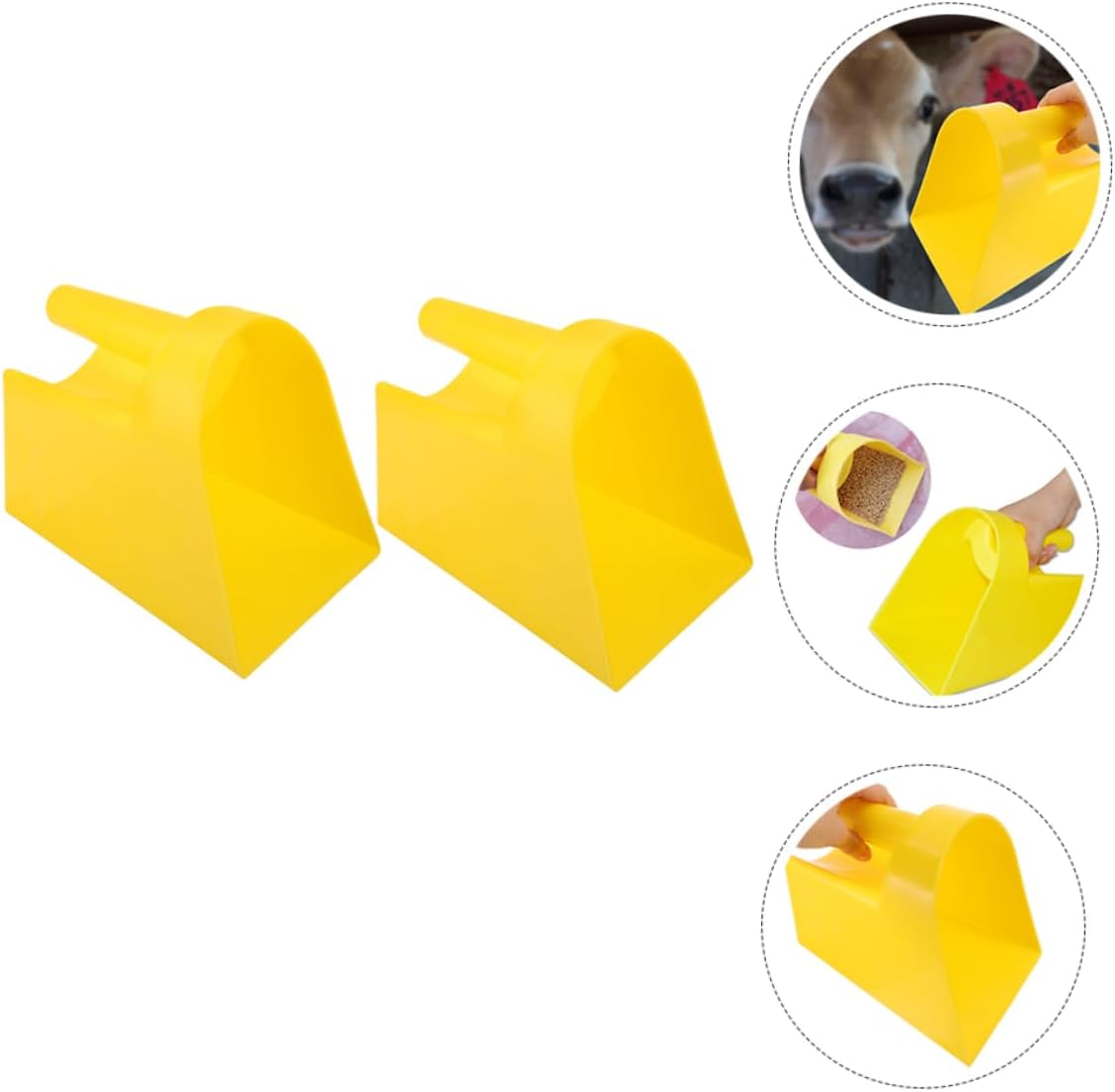 BESPORTBLE 6pcs Scoop for Livestock and Wear-resistant Farm Shovel Ergonomic Handle for Comfortable Grip for Feeding Goats Sheep and Pigs