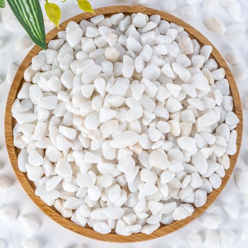 Sukh White Pebbles for Succulent and Cactus - 420G 1/5 Inch Succulent Cactus Gravel Pebbles Natural Decorative Polished River Stones Small River Rocks for Outdoor Gardening Vases Landscaping Fish Tank
