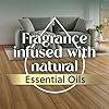 AIR WICK Essential Mist - Vibrant Starter Kit White Sage & Mahogany 3/1 ct.
