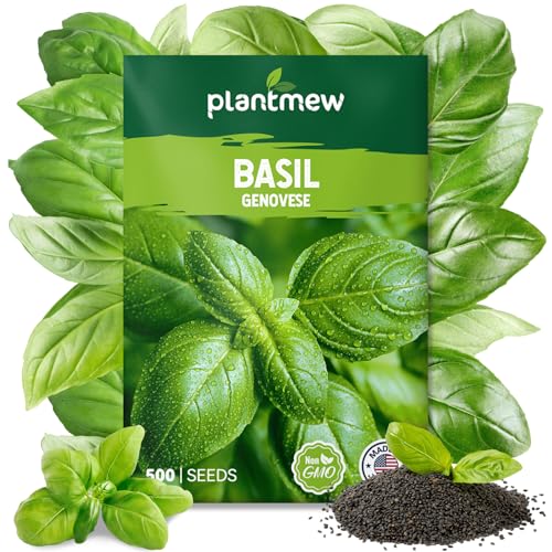 PLANTMEW Genovese Basil Seeds for Planting - 500 Heirloom Non-GMO Seeds - Genovese Basil Herb Seeds for Home Herb Garden Indoor & Outdoor Herb Gardening