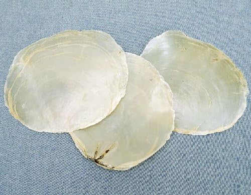 Mother of Pearl Shells 1 kg Approx. 9 – 11 cm