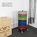 Valor Fitness Bumper Plate Storage Rack, Olympic Weight Plate Tree with Locking Wheels, 500 lb Capacity, 2 Inch Plate Holder for Home Gym, Garage Gym, and Commercial Fitness Use