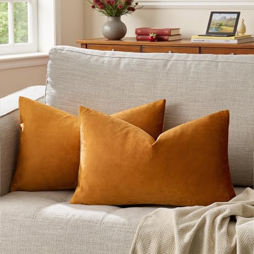 Image of GIGIZAZA Cinnamon Burnt Orange Velvet Decorative Throw Pillow Covers for Sofa Bed 2 Pack Soft Cushion Cover (Cinnamon, 12 x 20- Set of 2)