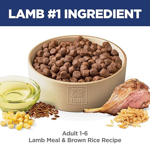 Hill's Science Diet Adult Lamb Meal & Brown Rice Recipe Dry Dog Food 14.9 kg Bag image 3