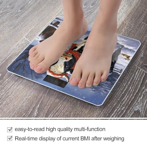 Báscula Digital de Baño con Plataforma de Vidrio Templado miniatura 5
