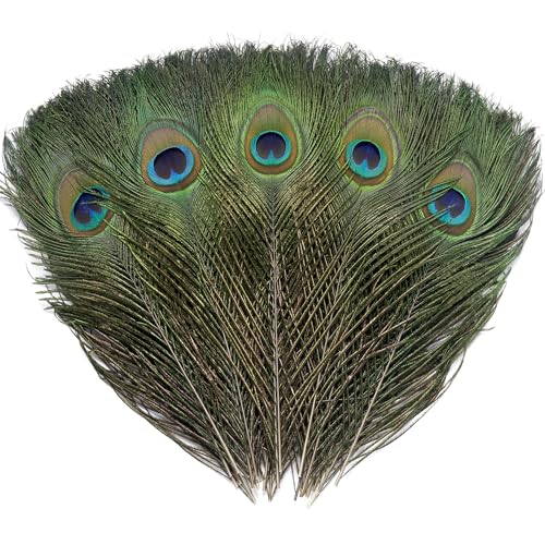 Ballinger 16Pcs Natural Peacock Feathers - 10-12 inch Large Big Peacock Feathers Bulk for DIY Crafting Christmas Wedding and Holiday Decorations