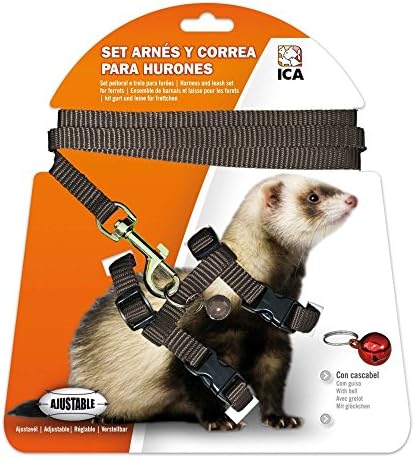 ICA DA973 Set de Arnés y Correa para Hurones, Negro, Ajustable