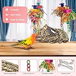 KATUMO Conure Toys, Bird Grass Swing Mat Parrot Climbing Hammock with Colorful Toys for Parakeet, Cockatiel, Sun Conure, Lovebird, Budgie, Small Birds - Image 2