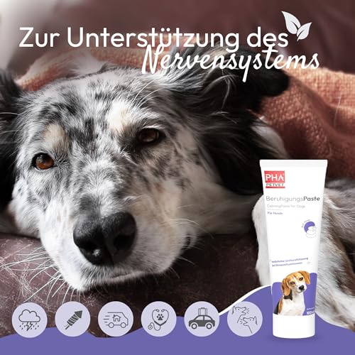 PHA BeruhigungsPaste Hund - Natürliches Beruhigungsmittel für Hunde bei Silvester, Angst & Stress, Autofahrt, Tierarzt, Beruhigung Hund, Entspannungs- & Anti-Stress-Mittel