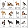 Screen Cat & Dog Doors | Single Flap | 1/2" Frame Screen Doors ONLY | Skilled Install Required | Heavy Frame of Extruded Aluminum | Steel Reinforced Corners | Fresh Air in, Bugs Out! | Hale Pet Door #3