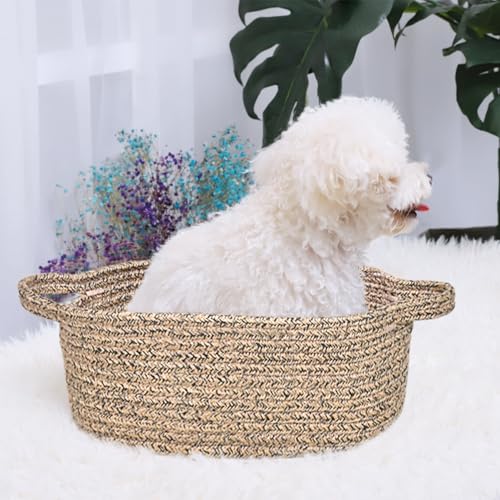 Image of ABenkle Small Basket with Handles, Boho Decorative Rope Woven Dog Cat Toy Storage Bin Shelf Storage Organizer, Easter Christmas Gift Basket, 12 inchx8 inchx5 inch