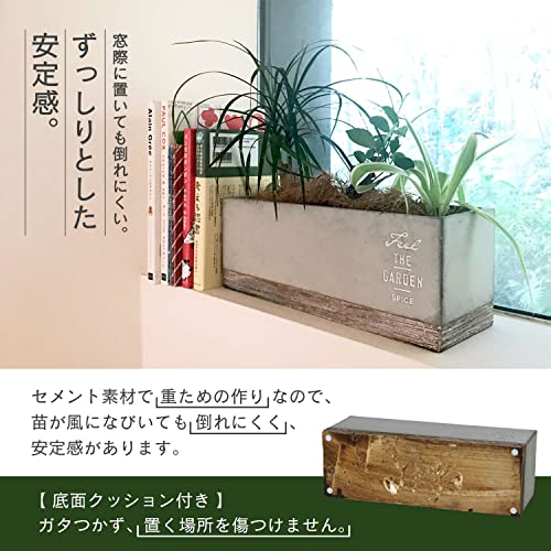SPICE OF LIFE(スパイス) 植木鉢 セメント プランター レク