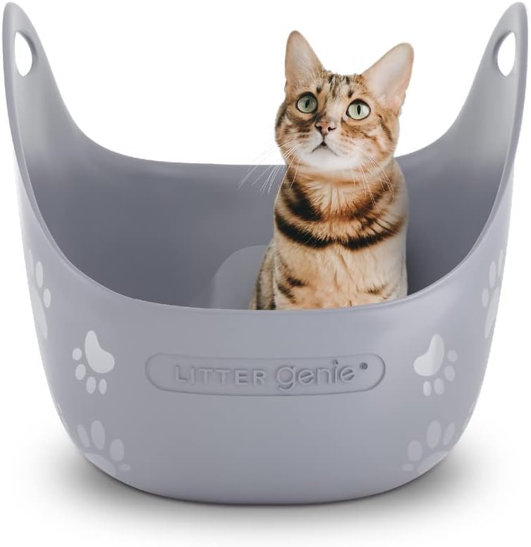High-Sided Cat Litter Box - Kitty Accessories - 1 Count