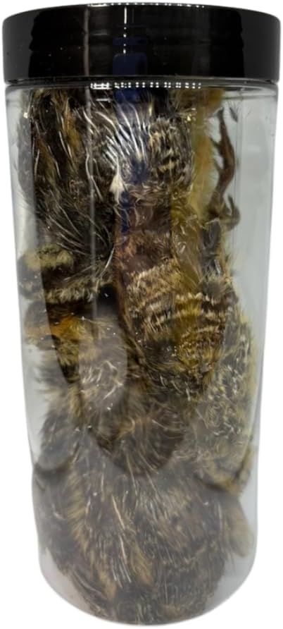 Undique Bird Dog Training Quail - Premium Freeze-Dried Whole Quail for Dogs 5ct, Large (Chick) - Natural Prey Feeding Quality Protein Pet Treats with Essential Nutrients and Enzymes