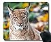 APSRA Antypoślizgowa gumowa podkładka pod mysz do gier, ryś duży kot drapieżnik 194050 antypoślizgowa gumowa podkładka pod mysz - 18657