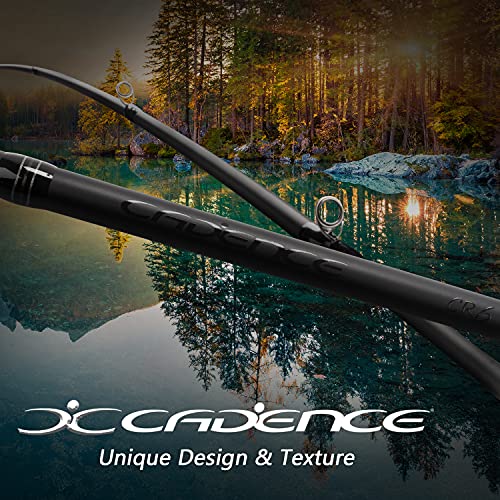 Cadence CR6B Extra Fast Rod