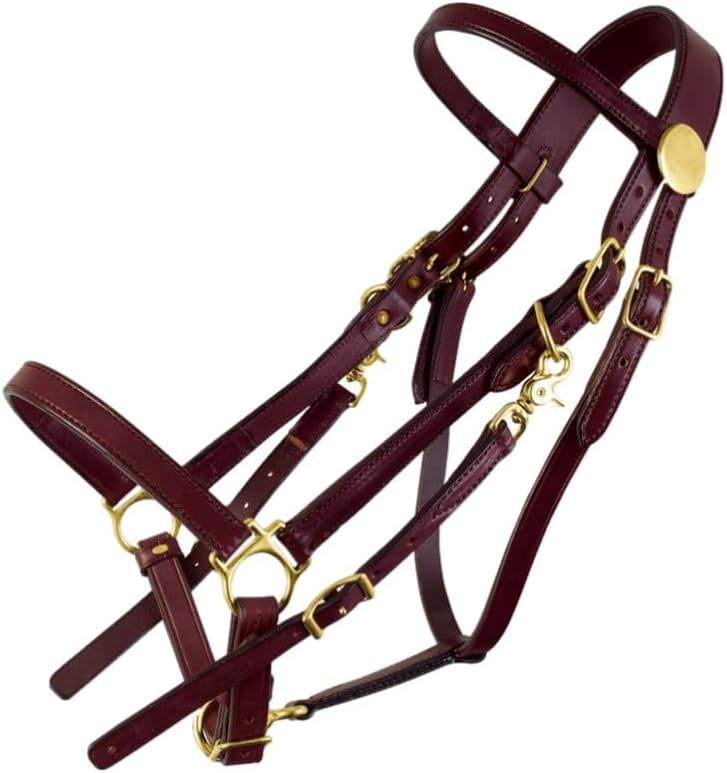 Tucker Standard Halter Bridle w/Brass Horse BRN