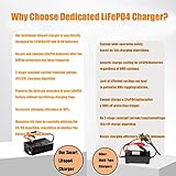 Ardroit 14.6V 30A LifePO4 Battery Charger Smart Charger Deep Cycle Rechargeable Batteries Trickle Charger for 12V LiFePO4 Lithium-Iron Deep Cycle Rechargeable Batteries & Battery Desulfator - Image 5