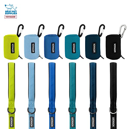 Image of Best Pet Supplies Reflective Dog Leash with Neoprene Handle, 5 FT. and Reusable Mesh Dispenser Poop Bag Holder Set for Travel, Walking, Park and Outdoor Use, Soft and Durable with Clip-On