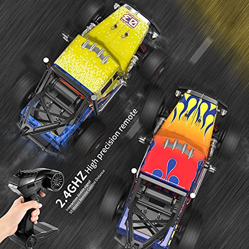 image for TEMI Hobby Grade 1:16 Scale Remote Control Car,4WD High Speed 40 Km/h 