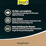 Tetra Pond Flakes - Fischfutter-Flocken für kleinere und junge Teichfische, für eine abwechslungsreiche und ausgewogene Ernährung, 1 L Dose