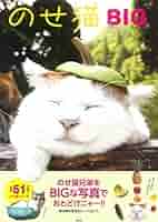 519RuUuPY2L._AC_SY200_QL15_.jpg