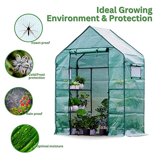 Greenhouse for Outdoors Walk in Greenhouses Heavy Duty with Durable PE Cover, 2 Mesh Windows, 3 Tiers 4 Shelves with Roll-up Zipper Door, Indoor Portable Gardening Plant House 56'' x 29'' x 77'' Green - Image 4