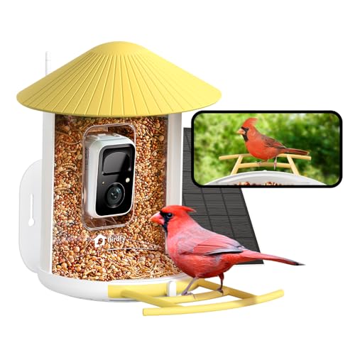 Image of NETVUE by Birdfy Smart Bird Feeder with 2K AI Camera Solar Powered, 3MP Wireless Wildbird Watching, Live Stream & Night Vision, Auto-Capture & Notify, Collection & Cloud Storage (AI by Subscription)