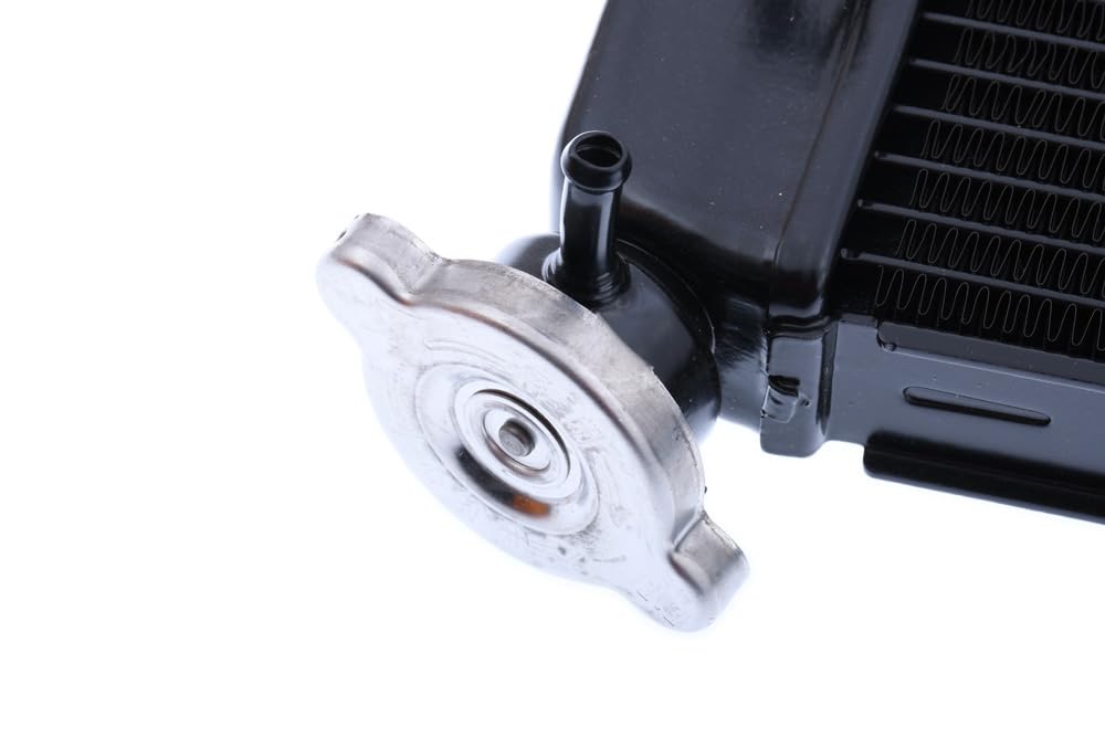 avdb-Moto Radiateur d'eau Compatible avec Yamaha XJ6 600 XJ-6 N 2009-2017, XJ-6 600 XJ6 Diversion 2009-2017