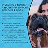 Animal Essentials Plant Enzyme & Probiotics - Probiotics & Digestive Enzymes for Dogs & Cats, Natural Daily Gut & Digestion Support Supplement for Pets, Plant Based - 10.6 oz