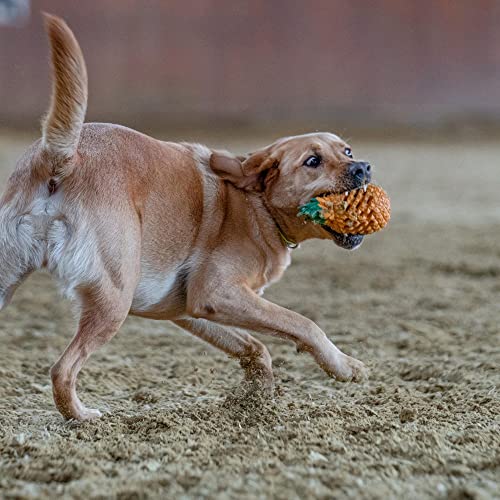 Sprenger Hundespielzeug Ananas Lernspielzeug mit Leckerlies Versteck I Kauspielzeug
