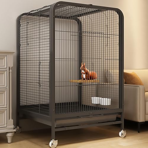 Enclos en métal pour petits animaux : protégez vos rongeurs des fuites et chutes