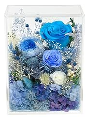 Blue Rose